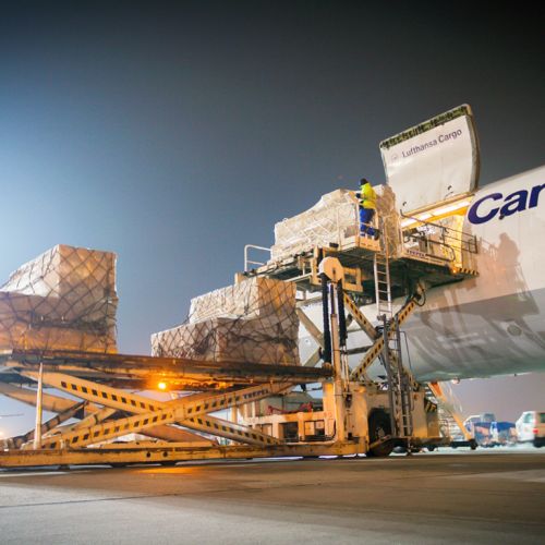 Navigating the Complexities of International Freight Forwarding